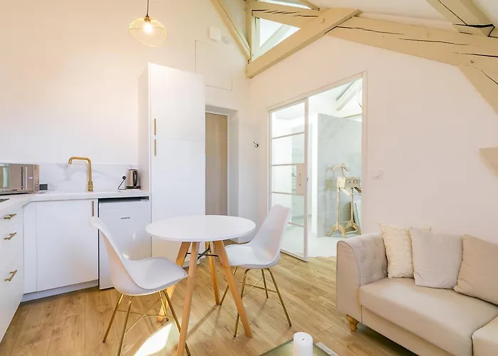 Le Cosy Charme Et Detente Au Coeur De Dijon