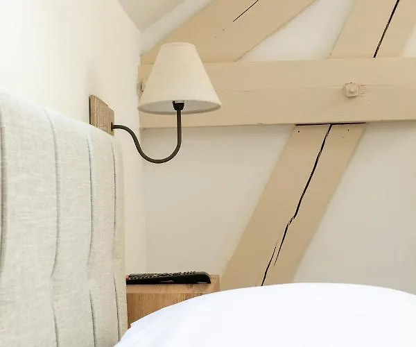 Le Cosy Charme Et Detente Au Coeur De Apartment Dijon