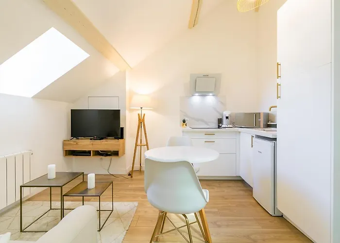 Le Cosy Charme Et Detente Au Coeur De ディジョン